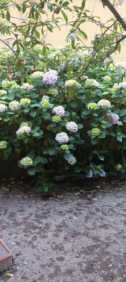 Отель Il Giardino Nascosto Неаполь Экстерьер фото