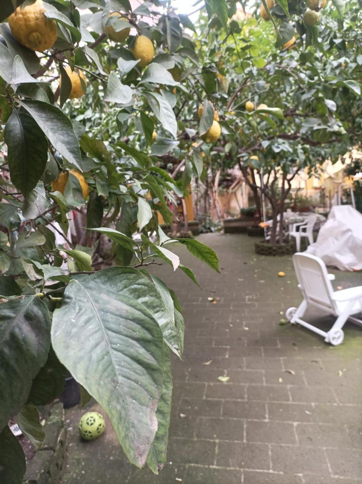 Отель Il Giardino Nascosto Неаполь Экстерьер фото